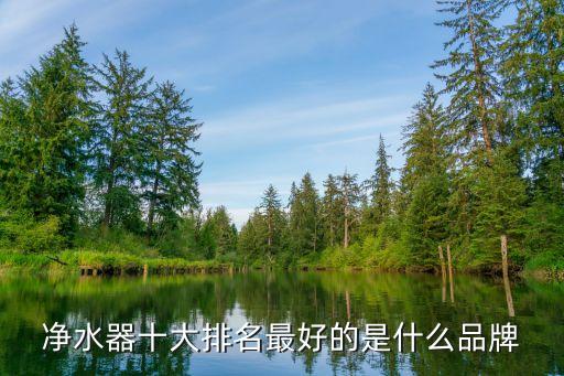 凈水器十大排名最好的是什么品牌