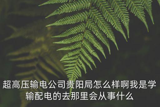 貴陽超高壓局書記，單成繁是現(xiàn)任局長嗎