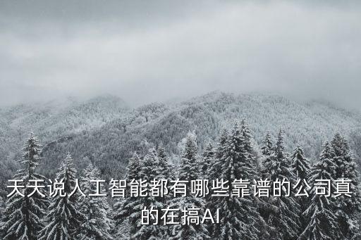 天天說(shuō)人工智能都有哪些靠譜的公司真的在搞AI
