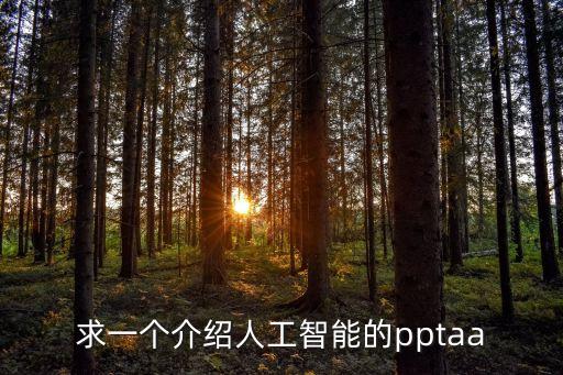 人工智能的應(yīng)用ppt資源，求一個(gè)介紹人工智能的pptaa