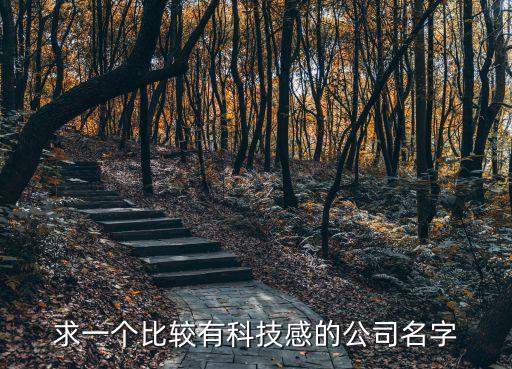 現(xiàn)代科技感的公司名，以現(xiàn)代科技的發(fā)展趨勢(shì)取一個(gè)公司名稱(chēng)