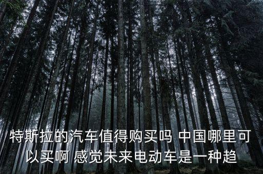 特斯拉值得買嗎 知乎，特斯拉的汽車值得購買嗎 中國哪里可以買啊 感覺未來電動車是一種趨