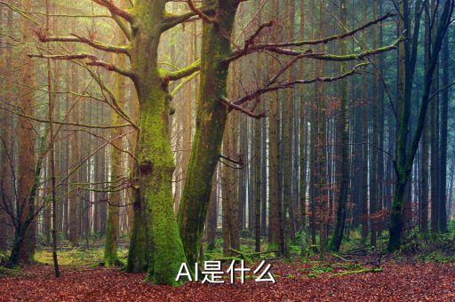 人工ai智能是什么意思，AI是什么