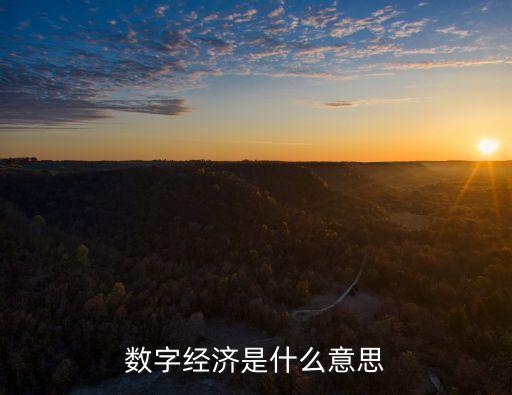 數(shù)字經(jīng)濟(jì)是什么意思