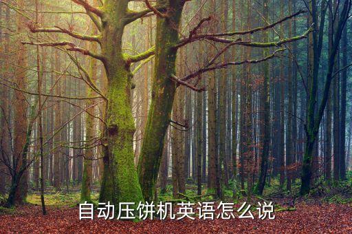 自動(dòng)壓餅機(jī)英語(yǔ)怎么說(shuō)