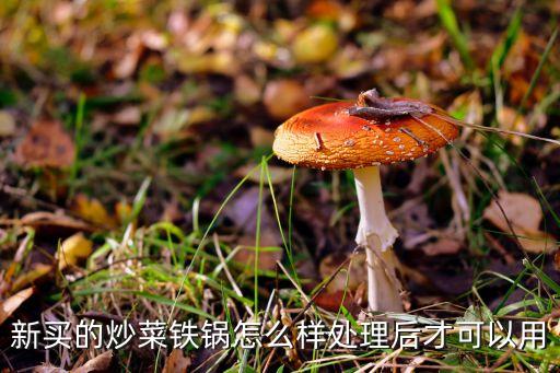 新買(mǎi)的炒菜鐵鍋怎么樣處理后才可以用