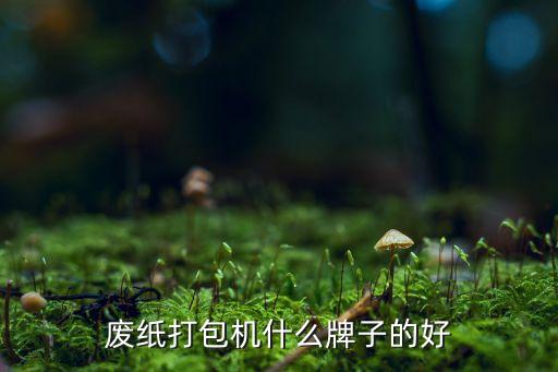廢紙打包機(jī)什么牌子的好