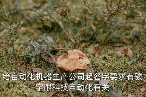 三個字的自動化公司起名，給自動化機器生產(chǎn)公司起名字要求有駿字跟科技自動化有關(guān)