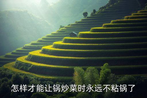 怎樣才能讓鍋炒菜時(shí)永遠(yuǎn)不粘鍋了