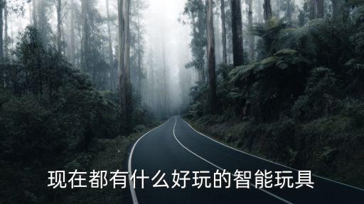 現(xiàn)在都有什么好玩的智能玩具