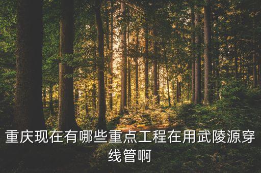 重慶現(xiàn)在有哪些重點(diǎn)工程在用武陵源穿線管啊