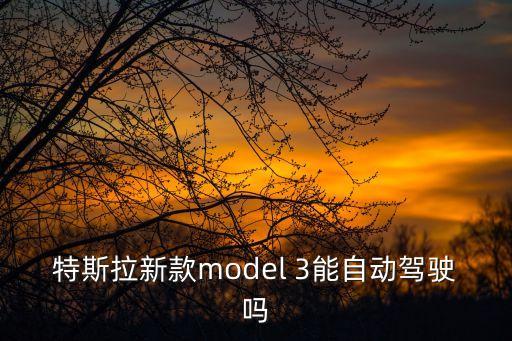 特斯拉本次駕駛無(wú)法激活自動(dòng)駕駛，如何正確使用特斯拉Autopilot功能