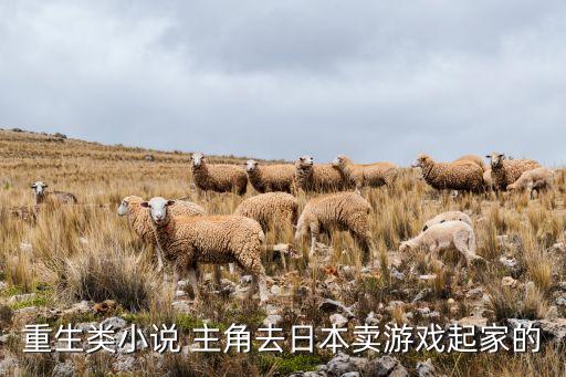 重生類(lèi)小說(shuō) 主角去日本賣(mài)游戲起家的