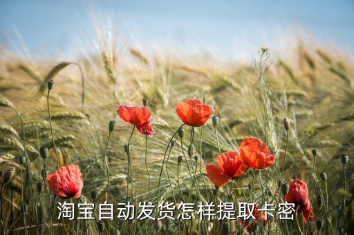 淘寶自動發(fā)貨怎樣提取卡密