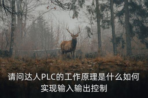 請問達人PLC的工作原理是什么如何實現(xiàn)輸入輸出控制