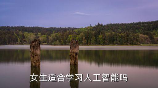 女生適合學(xué)習(xí)人工智能嗎