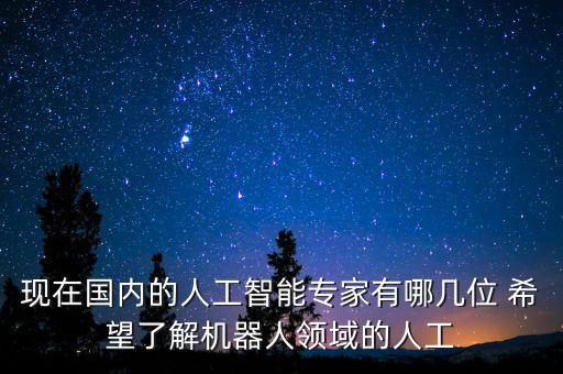 現(xiàn)在國(guó)內(nèi)的人工智能專家有哪幾位 希望了解機(jī)器人領(lǐng)域的人工
