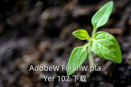 AdobeW FIaShW plaYer 102 下載