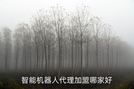 智能機(jī)器人代理加盟哪家好