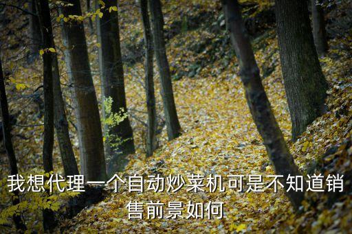 我想代理一個(gè)自動(dòng)炒菜機(jī)可是不知道銷售前景如何