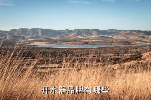 開水器品牌有哪些