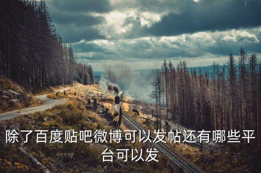 除了百度貼吧微博可以發(fā)帖還有哪些平臺可以發(fā)