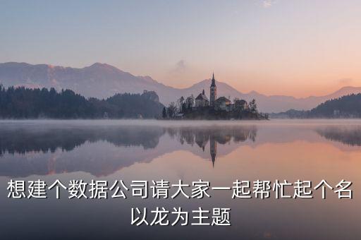 想建個數(shù)據(jù)公司請大家一起幫忙起個名以龍為主題