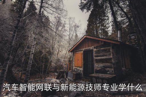 汽車智能網(wǎng)聯(lián)與新能源技師專業(yè)學(xué)什么