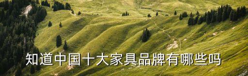 2020年十大家居品牌，整體家居十大品牌都有哪些啊有點急啊麻煩好心人幫忙回