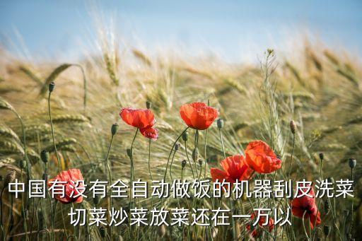 中國(guó)有沒(méi)有全自動(dòng)做飯的機(jī)器刮皮洗菜切菜炒菜放菜還在一萬(wàn)以