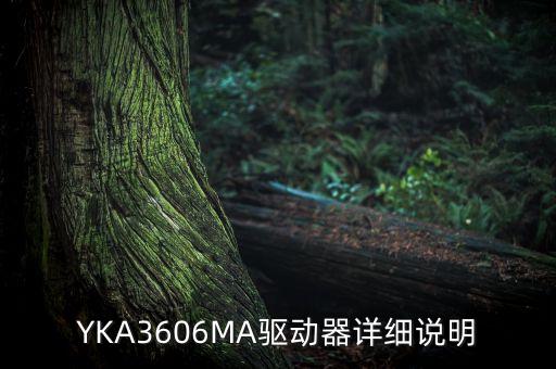 YKA3606MA驅動器詳細說明