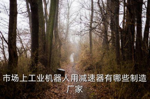 市場(chǎng)上工業(yè)機(jī)器人用減速器有哪些制造廠家