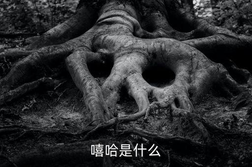 崛起從原始文明開(kāi)始，嘻哈是什么
