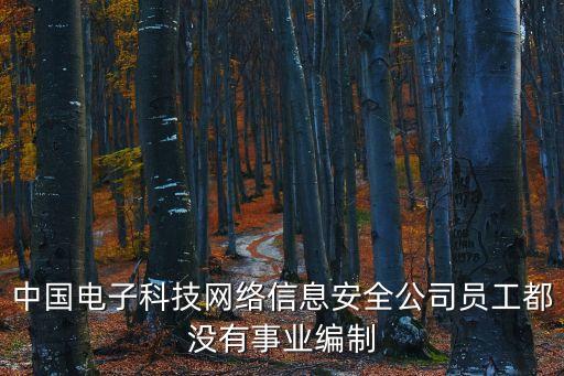 中國(guó)電子科技網(wǎng)絡(luò)信息安全公司員工都沒(méi)有事業(yè)編制
