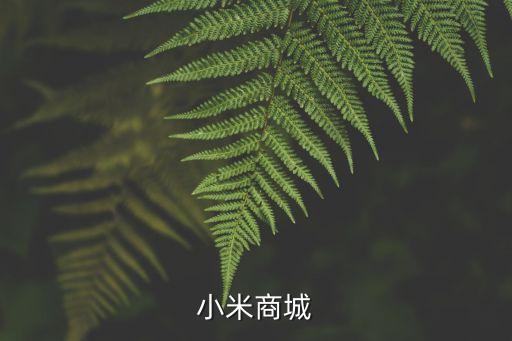 小米商城
