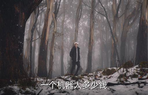 一個機器人多少錢
