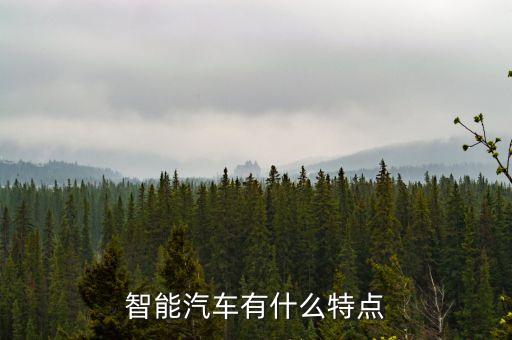 智能駕駛的特點(diǎn)，智能車機(jī)有什么特點(diǎn)