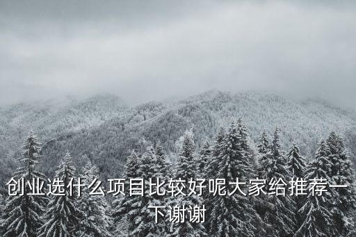 創(chuàng)業(yè)選什么項目比較好呢大家給推薦一下謝謝