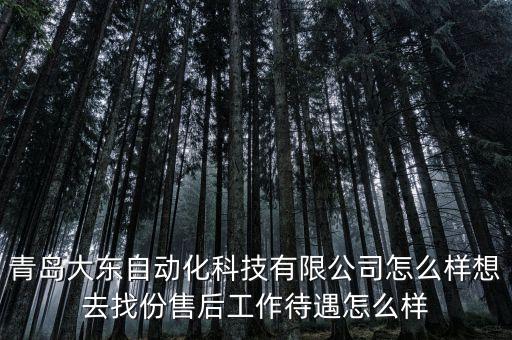 青島大東自動(dòng)化科技有限公司怎么樣想去找份售后工作待遇怎么樣