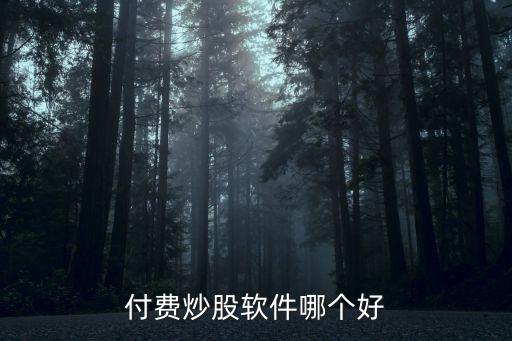 付費(fèi)炒股軟件哪個(gè)好