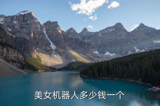 美女機(jī)器人多少錢(qián)一個(gè)