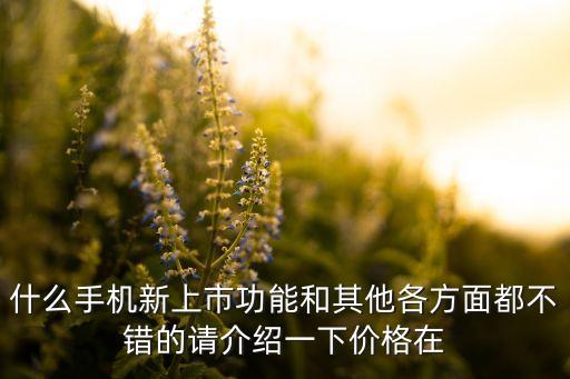 什么手機新上市功能和其他各方面都不錯的請介紹一下價格在