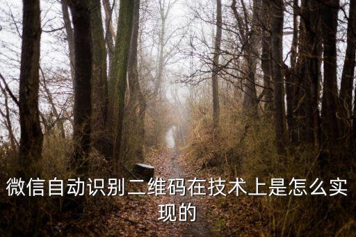 微信自動識別二維碼在技術(shù)上是怎么實(shí)現(xiàn)的
