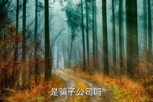 是騙子公司嗎