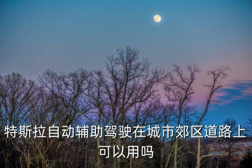 特斯拉怎么開(kāi)啟輔助駕駛，輔助功能選項(xiàng) 輔助功能選項(xiàng)怎么打開(kāi)