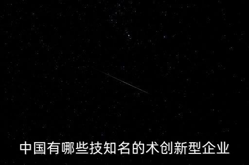中國有哪些技知名的術(shù)創(chuàng)新型企業(yè)