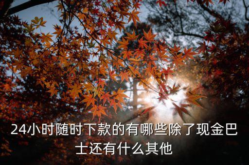 24小時自助下單業(yè)務(wù)平臺，我想要客人一進店掃下桌子上的二維碼就可以自助下單有哪個蘋果