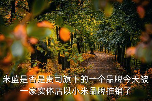 米藍(lán)是否是貴司旗下的一個(gè)品牌今天被一家實(shí)體店以小米品牌推銷了