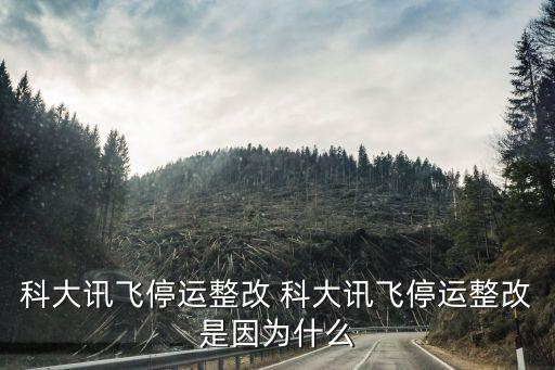 科大訊飛為什么被政府力挺，科大訊飛停運(yùn)整改 科大訊飛停運(yùn)整改是因?yàn)槭裁? /></a><a href=