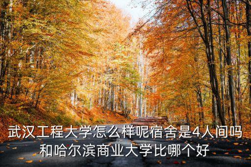 有米科技怎樣，長江工程職業(yè)技術(shù)學(xué)院 武漢 這所學(xué)校怎么樣啊  急 3Q
